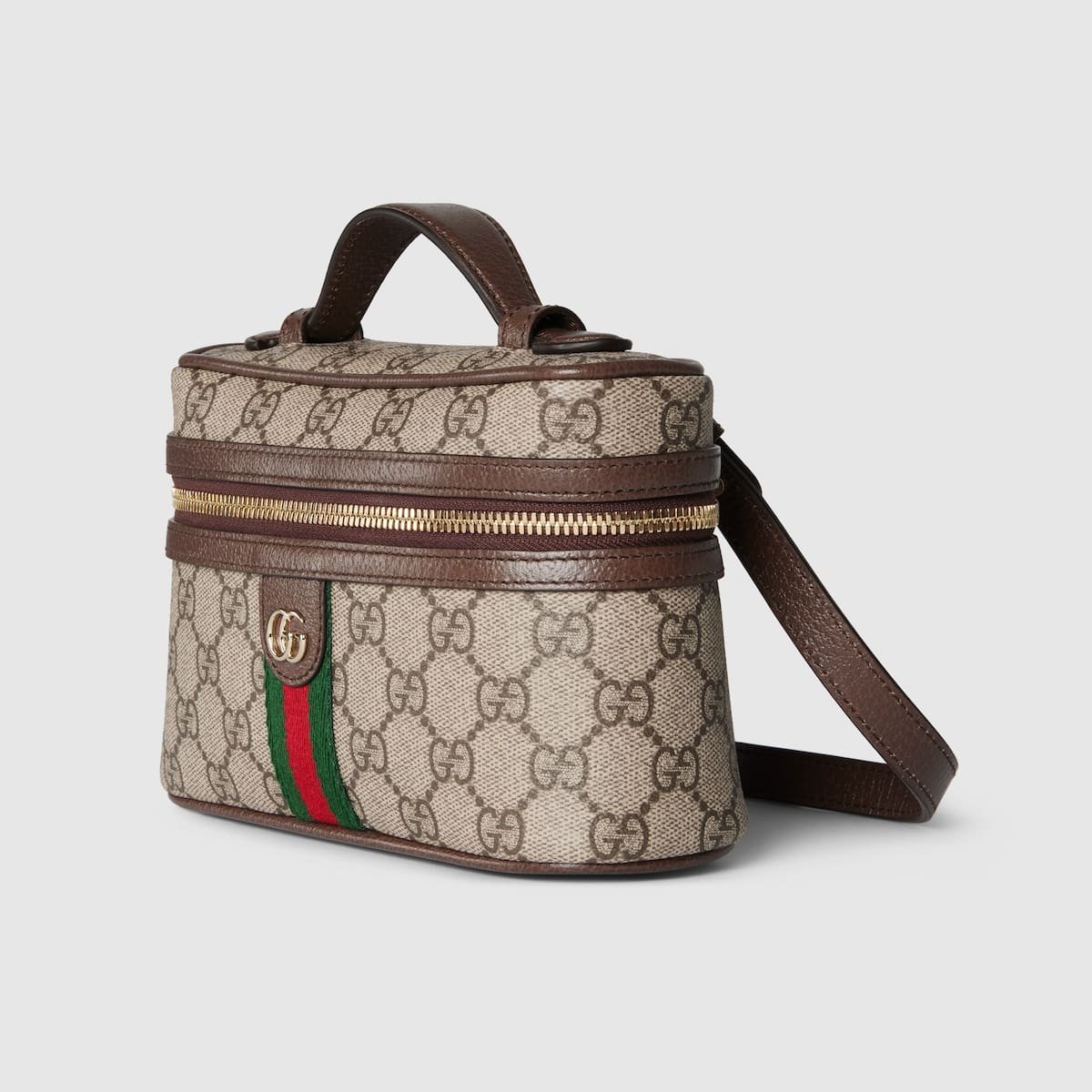 Gvc*1 Ophidia Small Vanity Bag