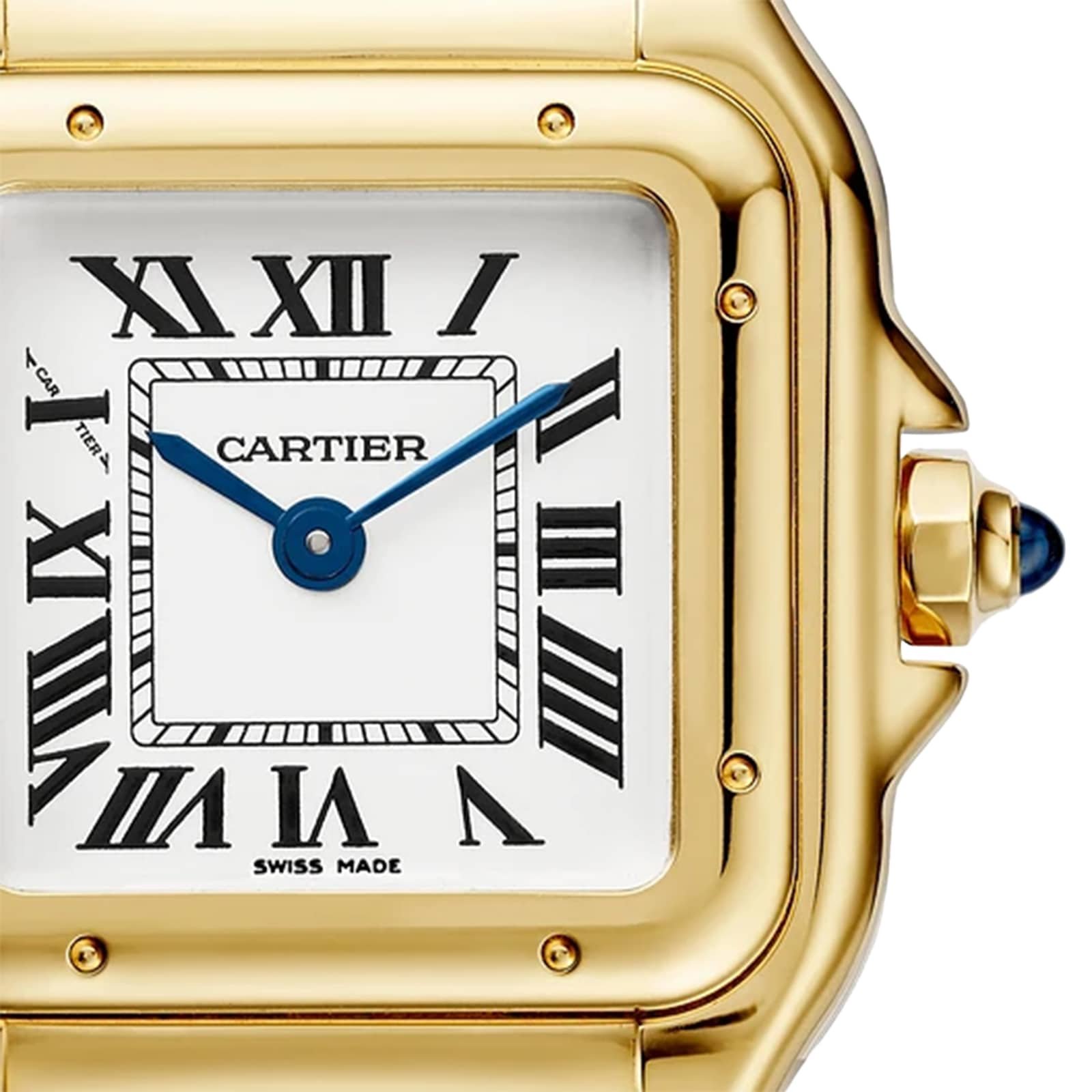 Panthère de Ca*t1er