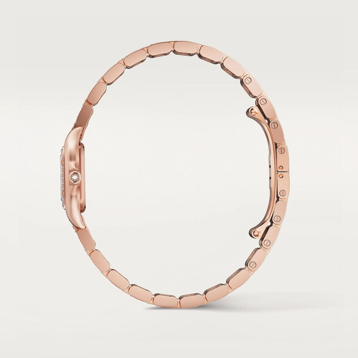 Panthère De Ca*t1er Watch