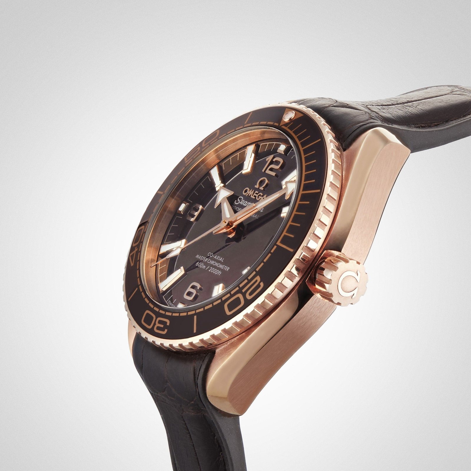 0me*ga Seamaster Planet Ocean 600M