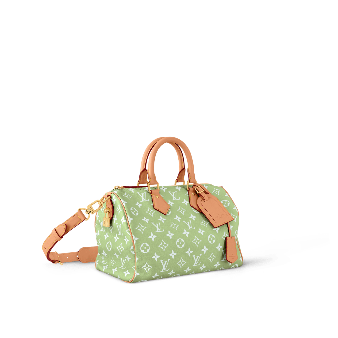 L0vis Vvtt0n M14064 SPEEDY P9 BANDOULIÈRE 30 BAG (top quality)