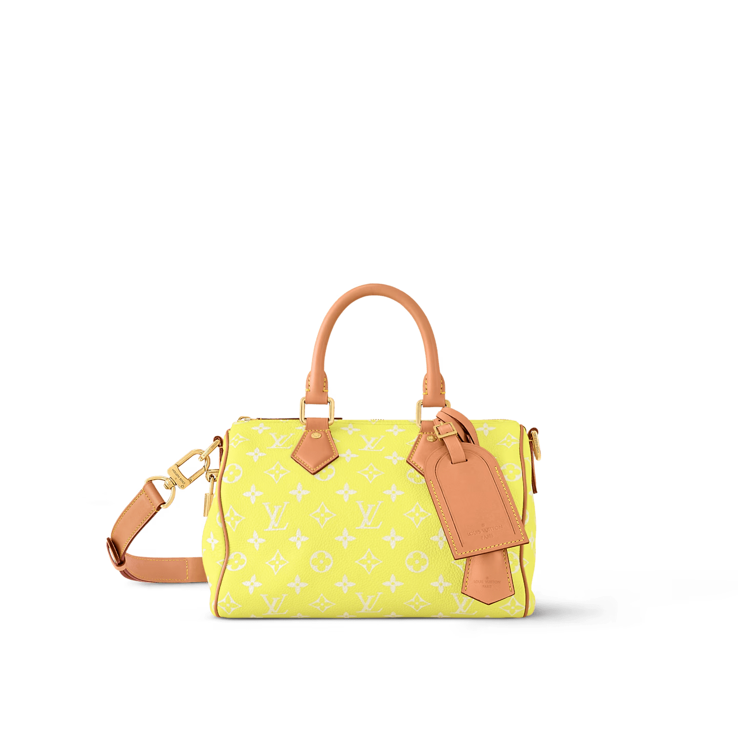 L0vis Vvtt0n SPEEDY P9 BANDOULIÈRE 25 BAG