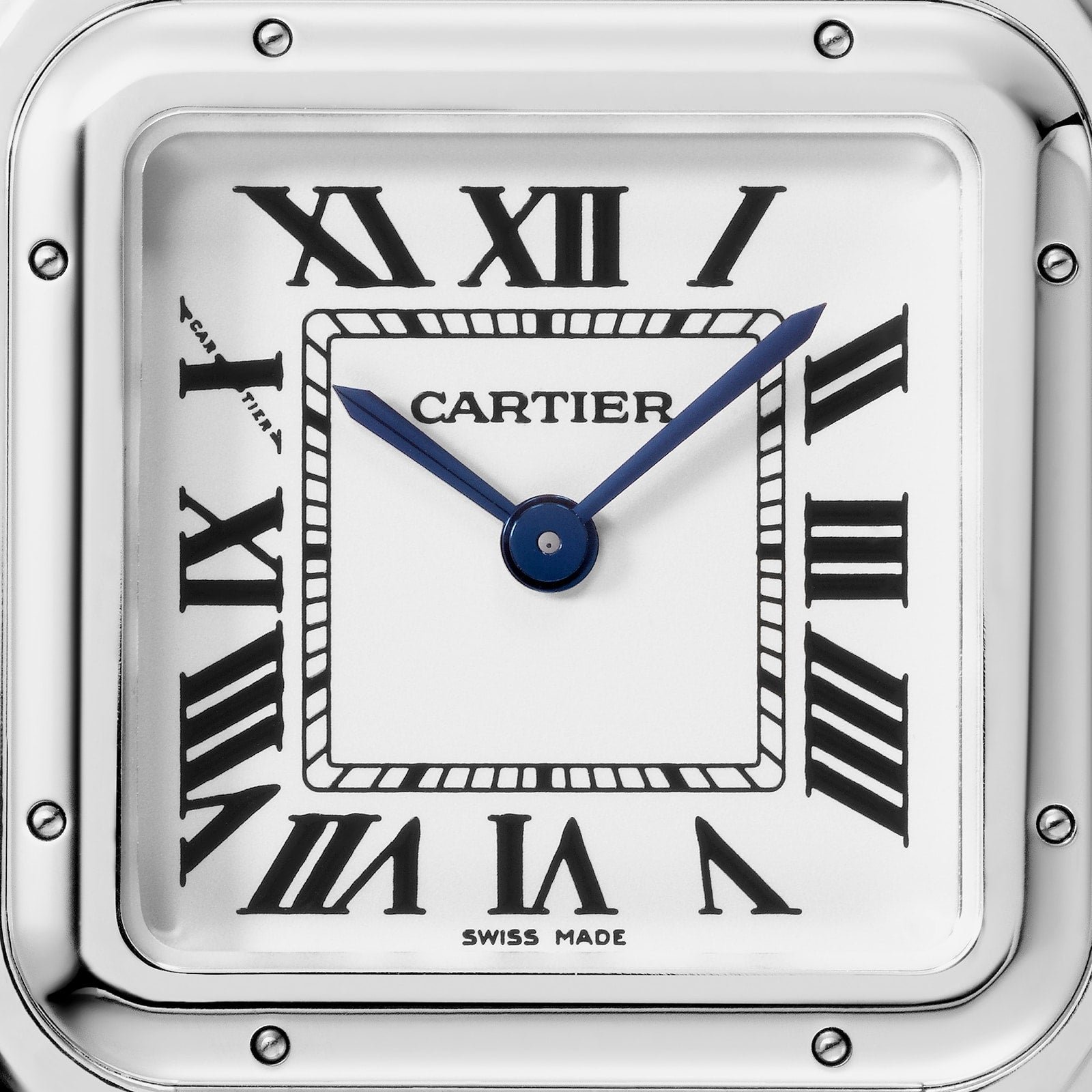 Panthère de Ca*t1er