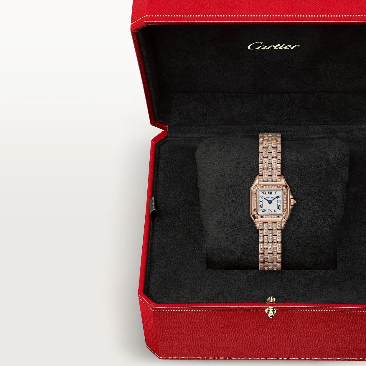 Panthère De Ca*t1er Watch